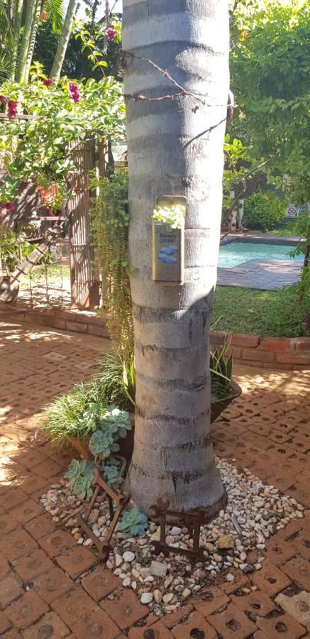Africas Eden Guesthouse Mookgophong 外观 照片