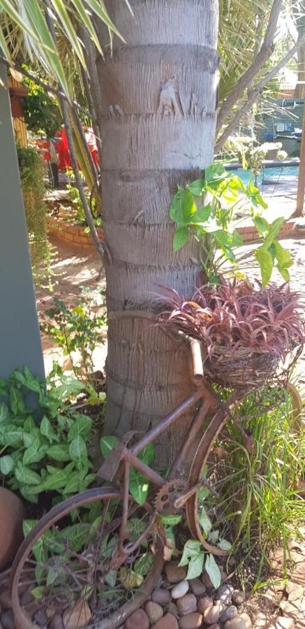 Africas Eden Guesthouse Mookgophong 外观 照片